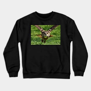 Eagle Owl Crewneck Sweatshirt